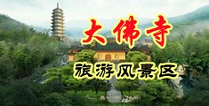 狠狠干美女屄屄中国浙江-新昌大佛寺旅游风景区